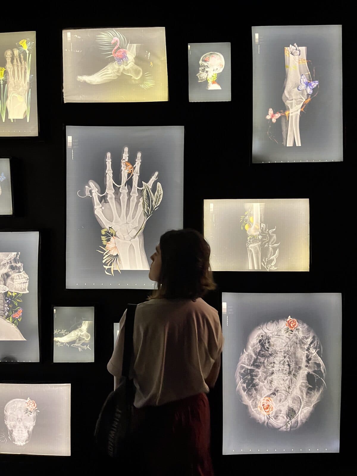 Giorgia Biondo — arte, foto 21
