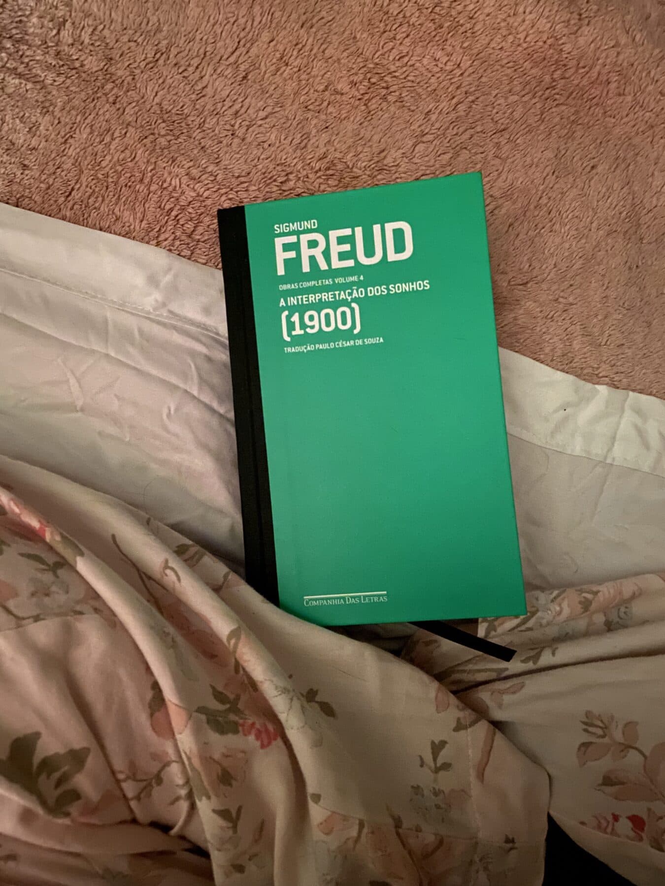 Livro A Interpretação dos Sonhos, de Freud